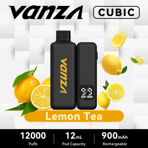 Vape jetable ou système Pod : lequel est le meilleur pour votre entreprise ?
